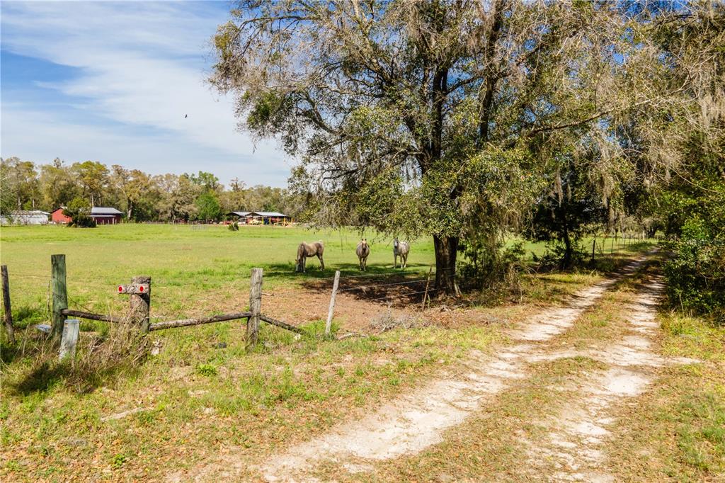 Property for sale at TBD SW 298 STREET, NEWBERRY, FL, 32669