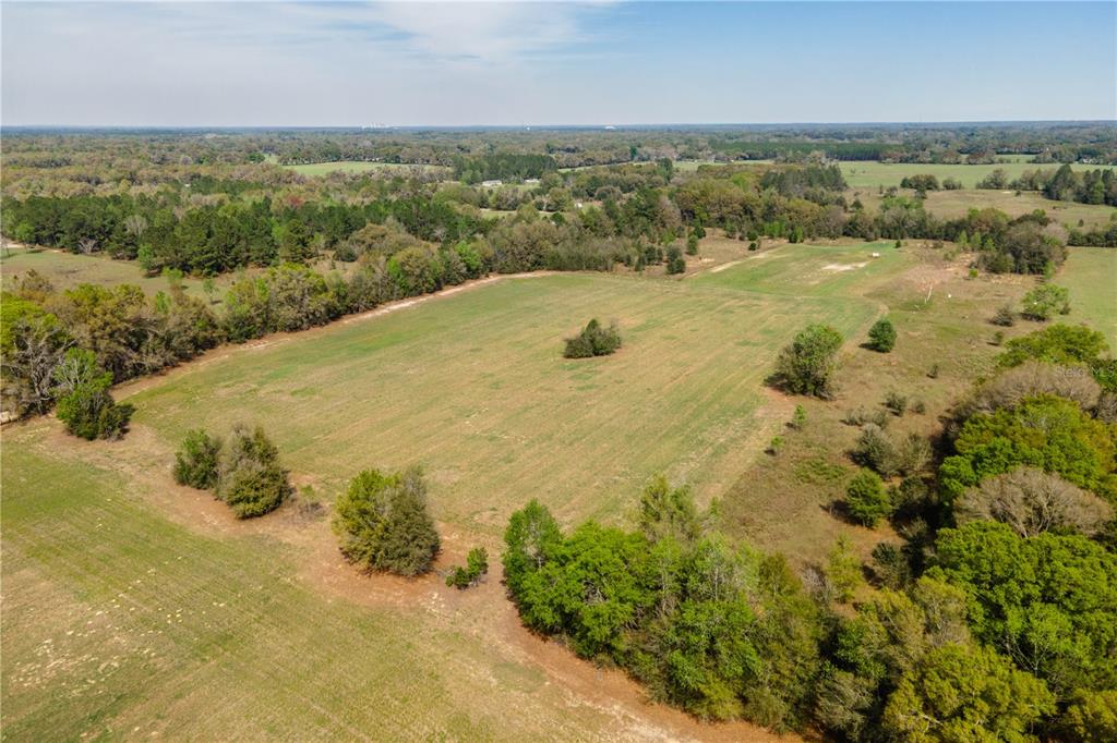Property for sale at TBD SW 298 STREET, NEWBERRY, FL, 32669