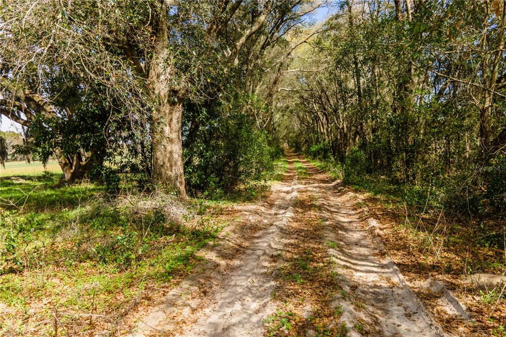 Property for sale at TBD SW 298 STREET, NEWBERRY, FL, 32669