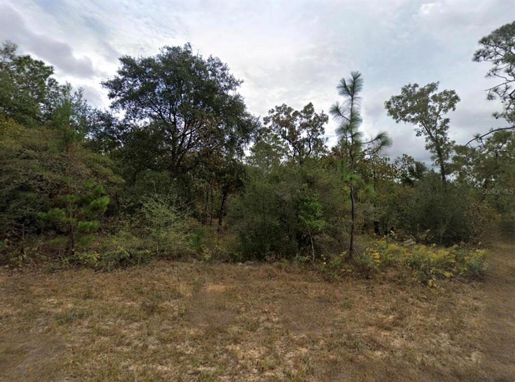 Property for sale at UNASSAIGNED, CHIPLEY, FL, 32428