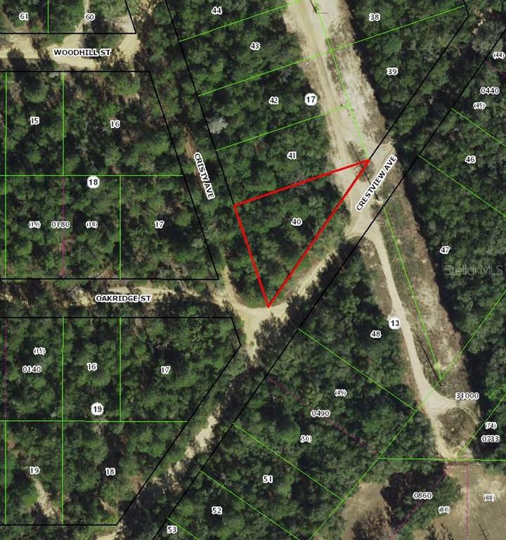 Property for sale at 112 S CRESTVIEW AVENUE, INVERNESS, FL, 34452