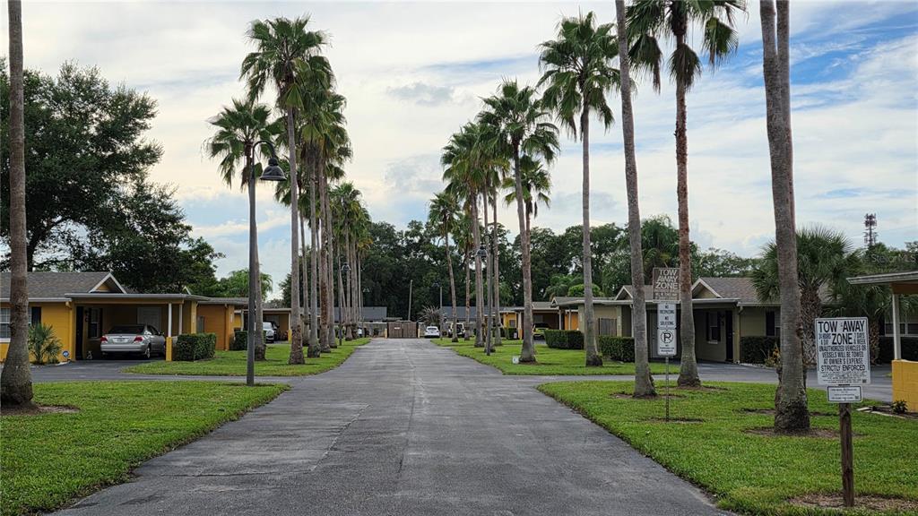 Palm Tree Lined Community