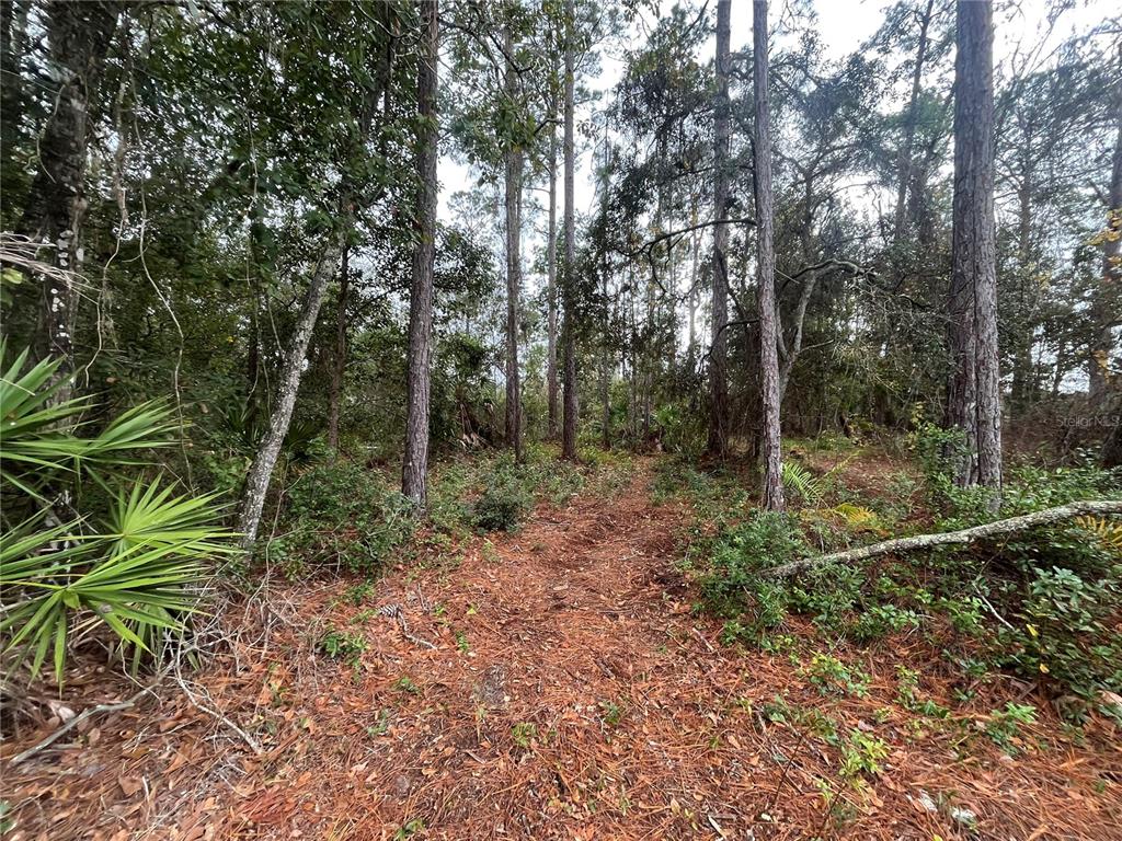 Property for sale at SUSAN STREET, INTERLACHEN, FL, 32148