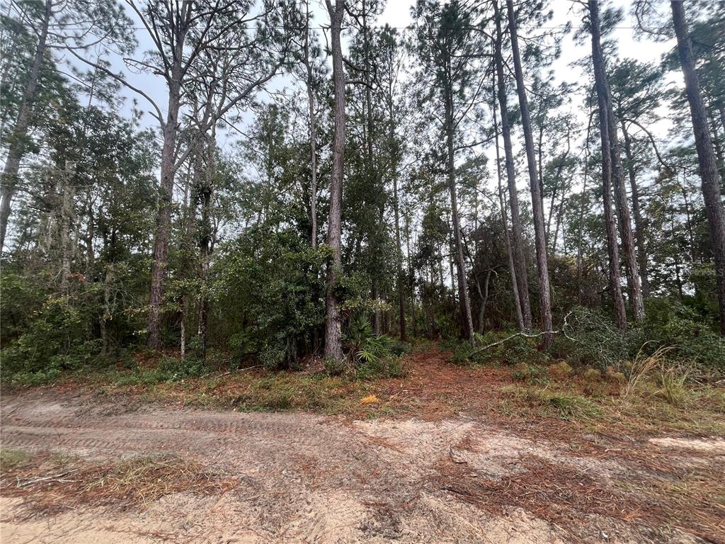 Property for sale at SUSAN STREET, INTERLACHEN, FL, 32148