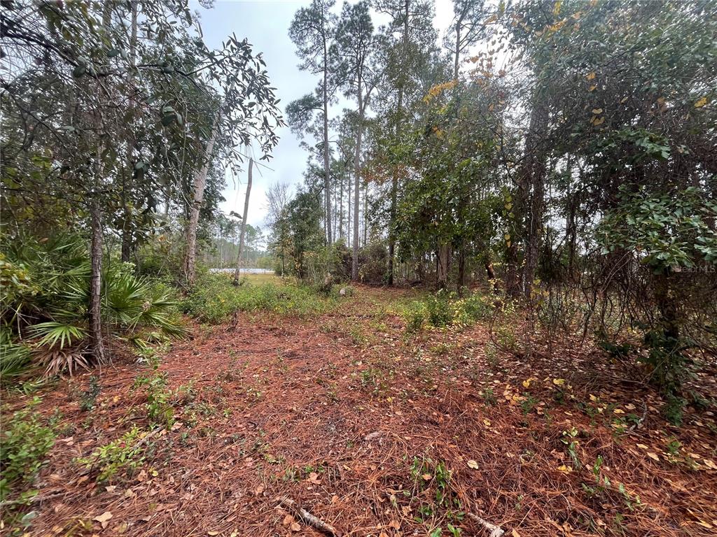 Property for sale at SUSAN STREET, INTERLACHEN, FL, 32148