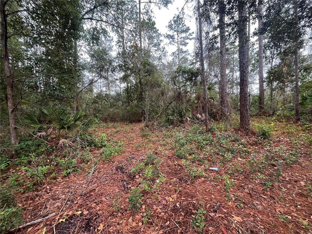 Property for sale at SUSAN STREET, INTERLACHEN, FL, 32148