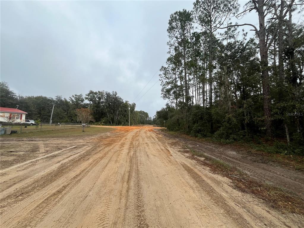 Property for sale at SUSAN STREET, INTERLACHEN, FL, 32148