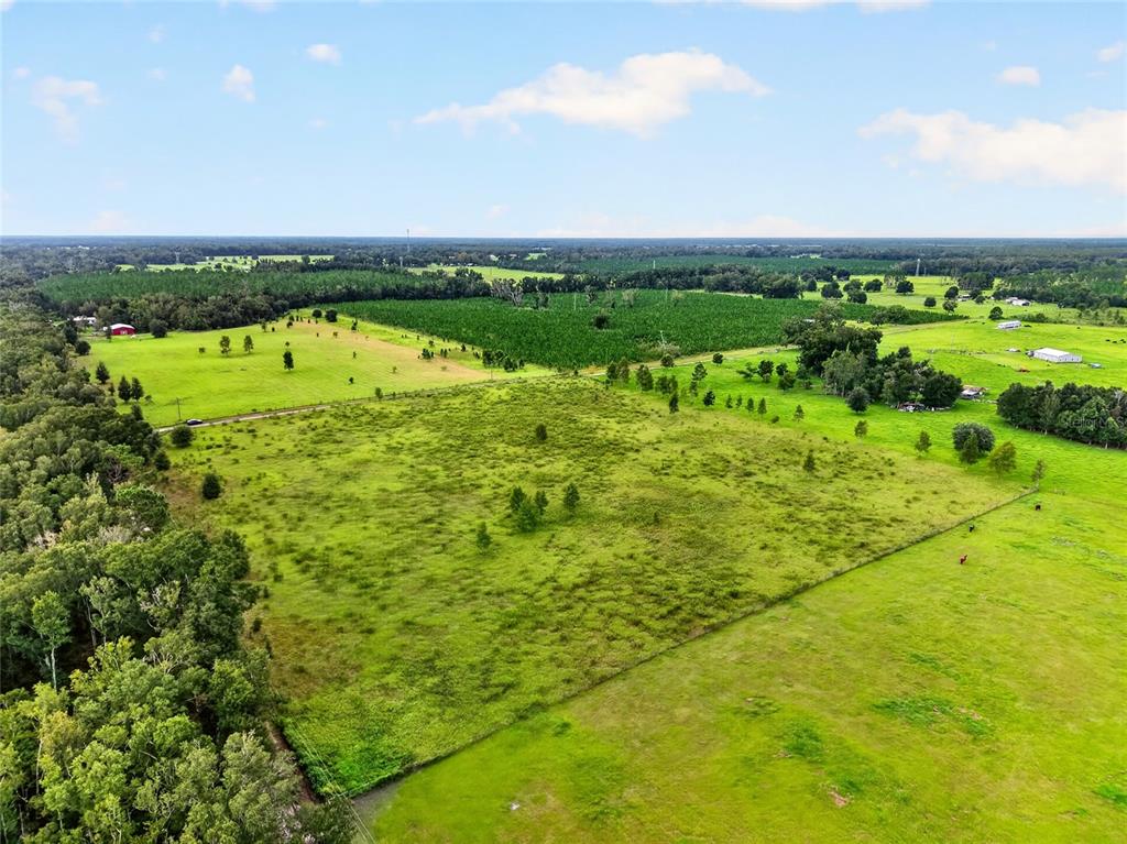 Property for sale at 0 173RD RD, LIVE OAK, FL, 32060