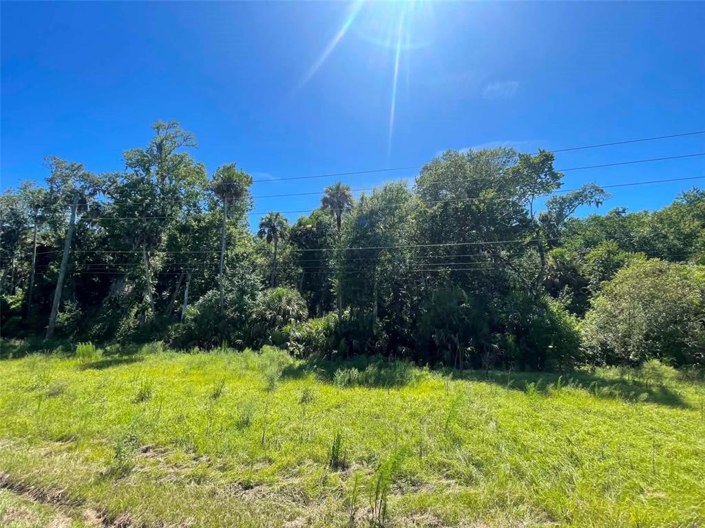 Property for sale at OLD MISSION ROAD, NEW SMYRNA BEACH, FL, 32168