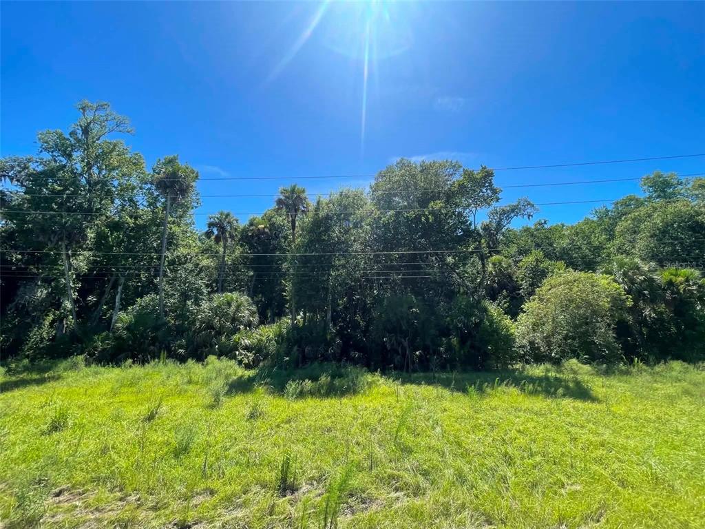 Property for sale at OLD MISSION ROAD, NEW SMYRNA BEACH, FL, 32168