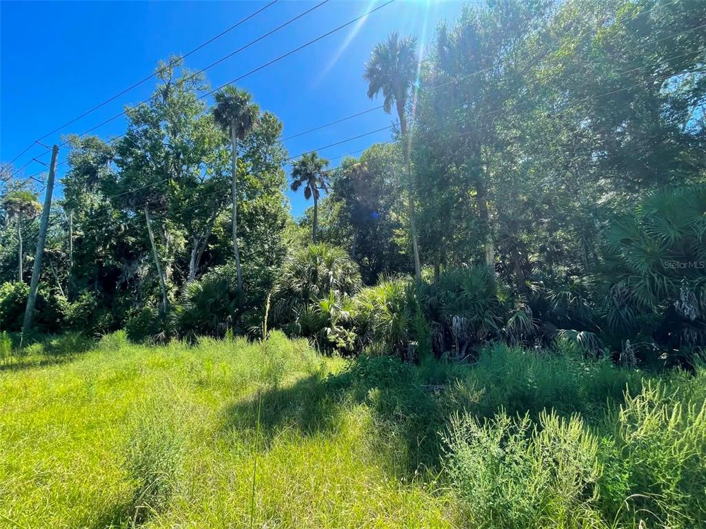 Property for sale at OLD MISSION ROAD, NEW SMYRNA BEACH, FL, 32168