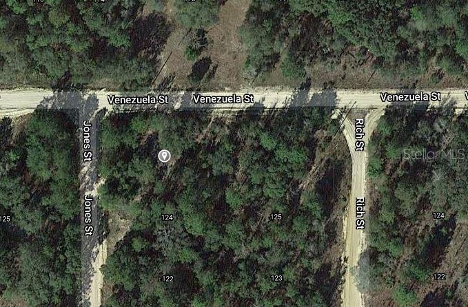 Property for sale at 00 JONES STREET, INTERLACHEN, FL, 32148