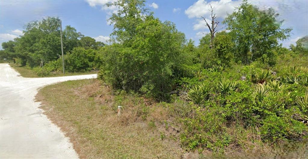 Property for sale at 383 CAROLE ROAD NW, LAKE PLACID, FL, 33852