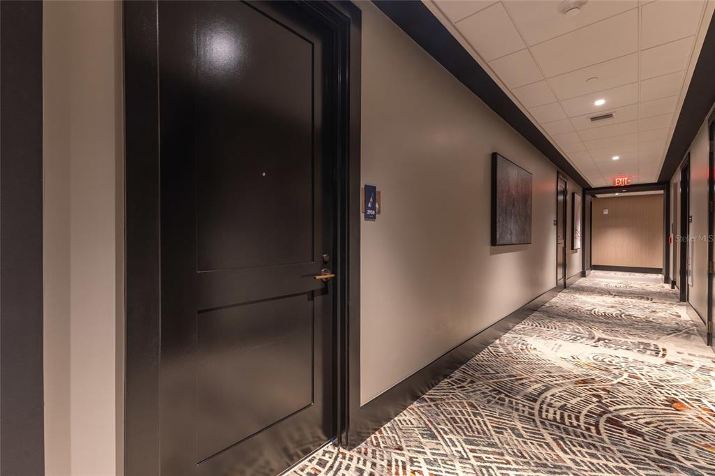 Unit Door