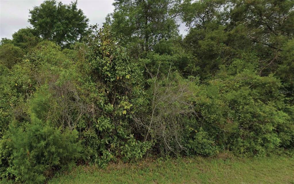 Property for sale at NE 236TH LANE, FORT MC COY, FL, 32134
