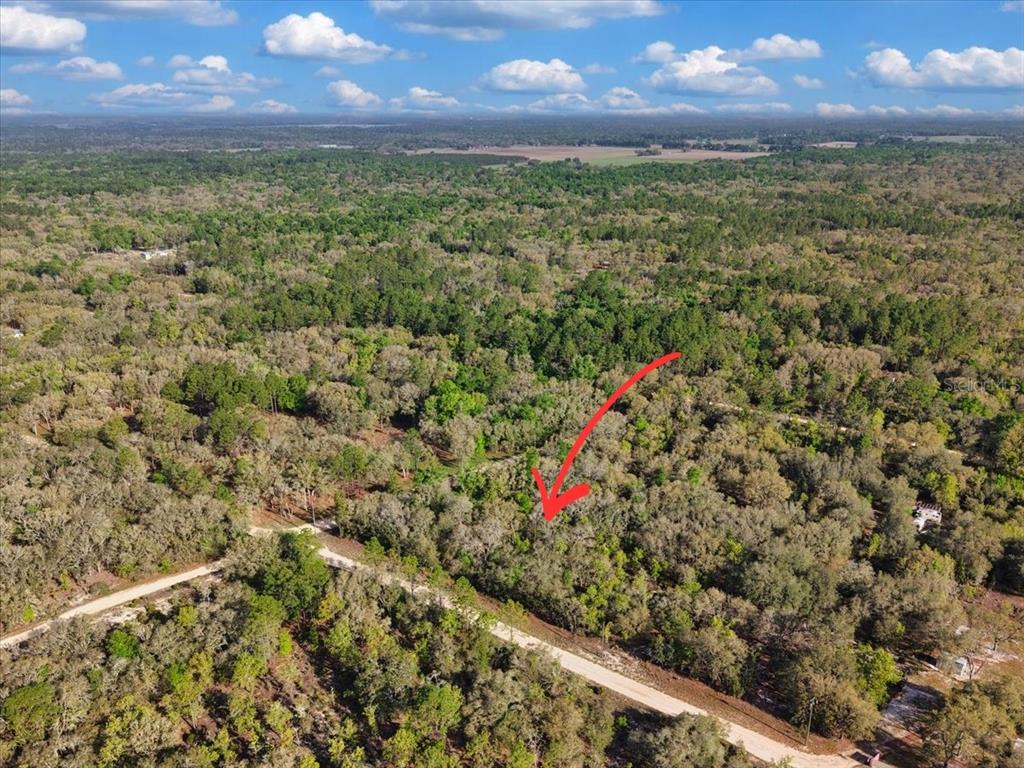 Property for sale at Lot 362 NE 82ND PLACE, BRONSON, FL, 32621