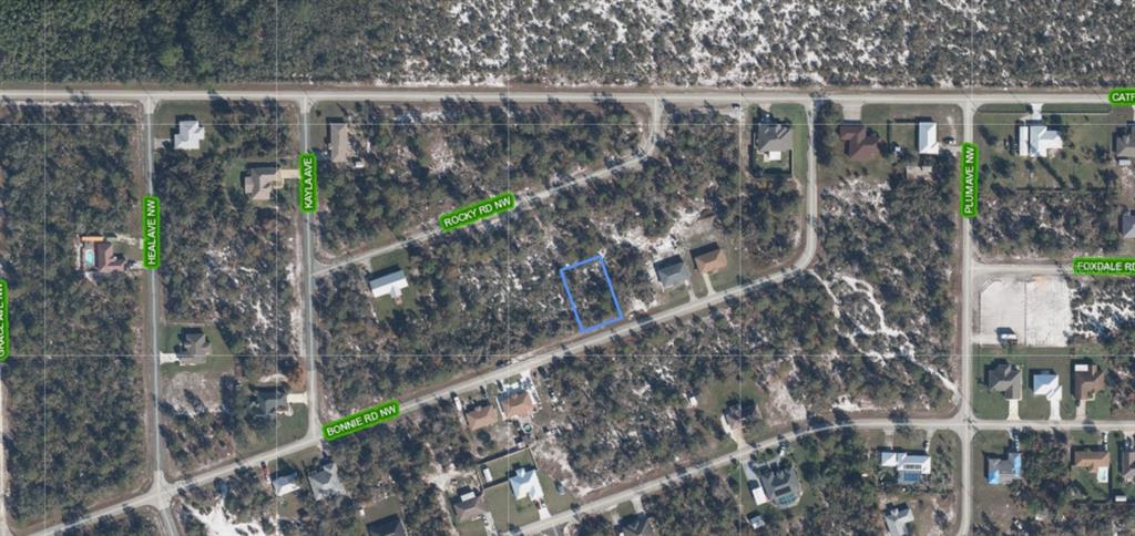 Property for sale at 117 BONNIE ROAD NW, LAKE PLACID, FL, 33852