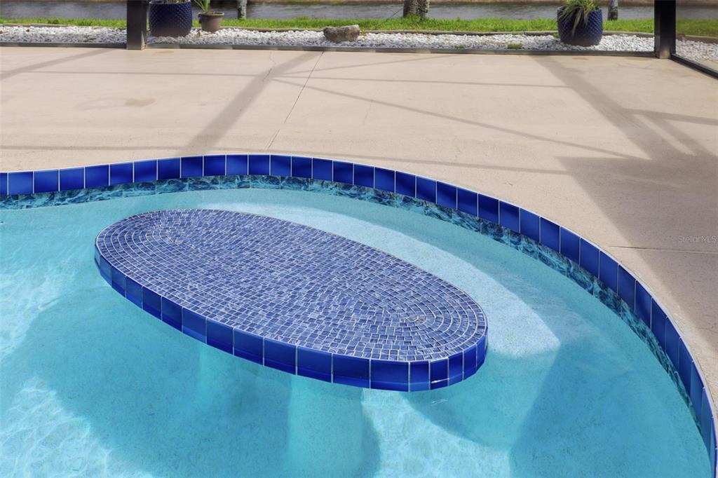 Beautiful newly resurfaced pool (2025) with elegant coping and lush backyard views