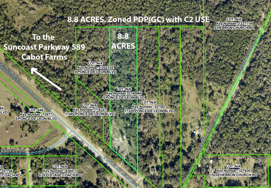 Property for sale at 17338 PONCE DE LEON BOULEVARD, BROOKSVILLE, FL, 34614