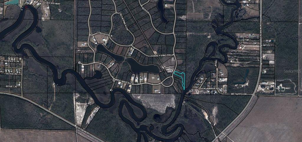Property for sale at 603 WIDE WATER CIRCLE, WEWAHITCHKA, FL, 32465