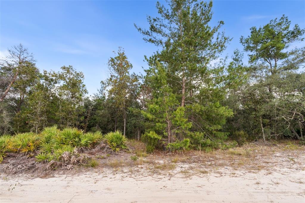 Property for sale at 0 NE 75 STREET, BRONSON, FL, 32621