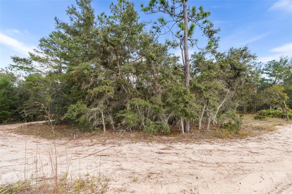 Property for sale at 0 NE 75 STREET, BRONSON, FL, 32621