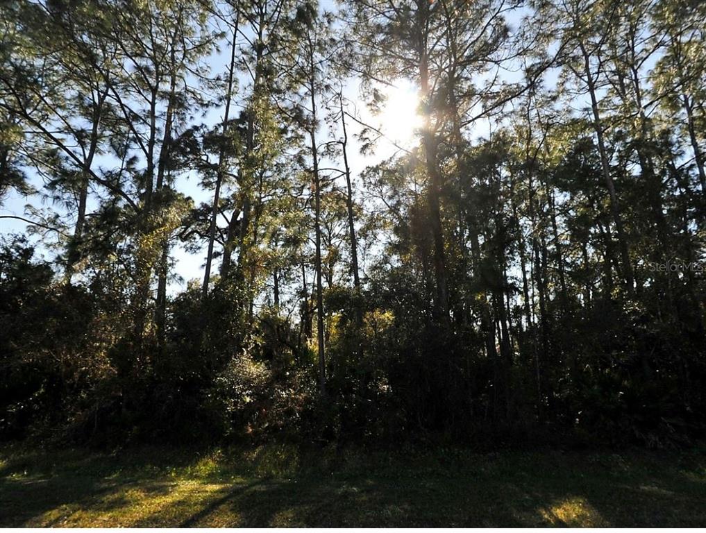 Property for sale at N CRANBERRY BOULEVARD, NORTH PORT, FL, 34286