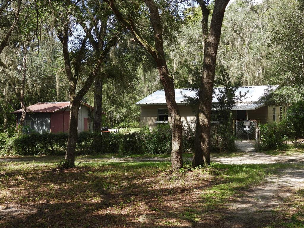 Lots of oaks and shade
