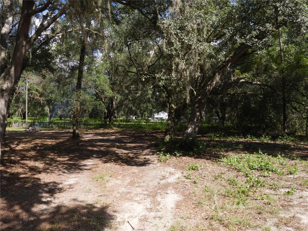property goes beyond this fence to the green pasture