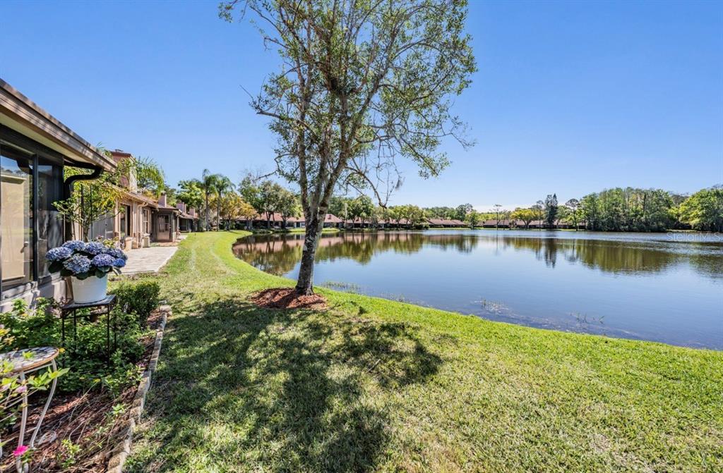 Property for sale at 3960 MERMOOR DRIVE, PALM HARBOR, FL, 34685