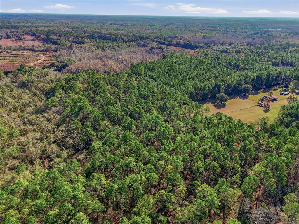 Property for sale at 20616 NW 75TH STREET, ALACHUA, FL, 32615