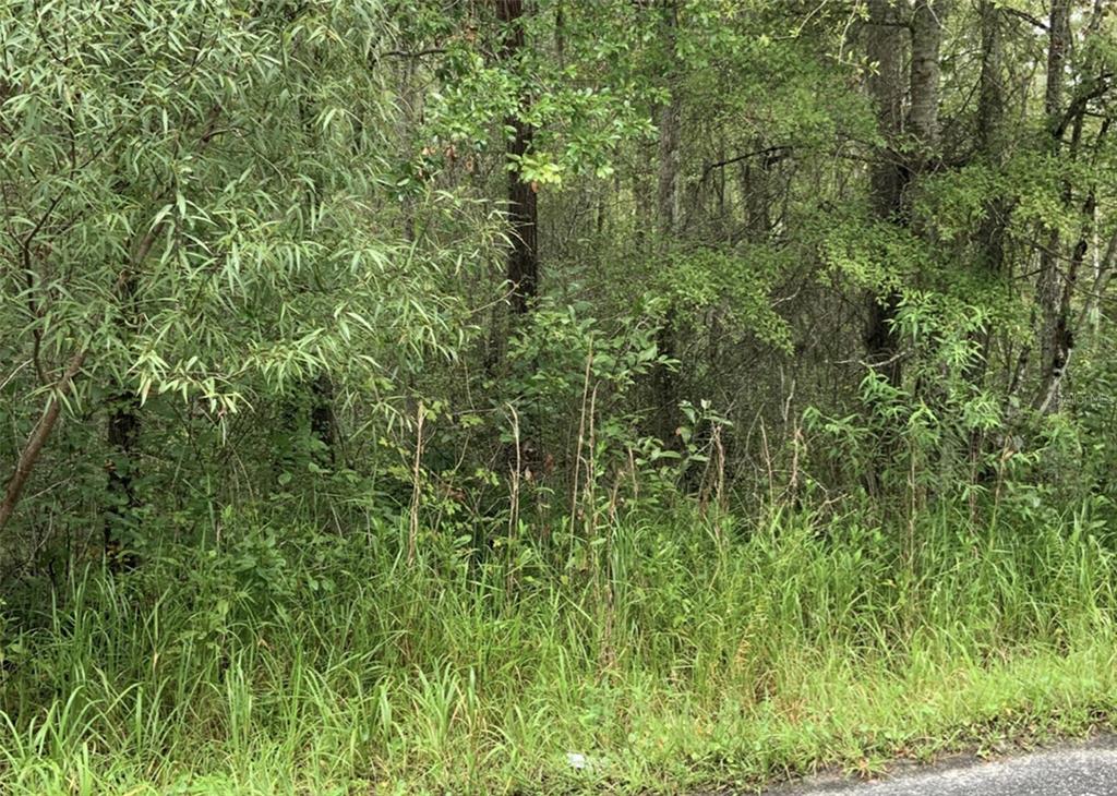 Property for sale at 20616 NW 75TH STREET, ALACHUA, FL, 32615