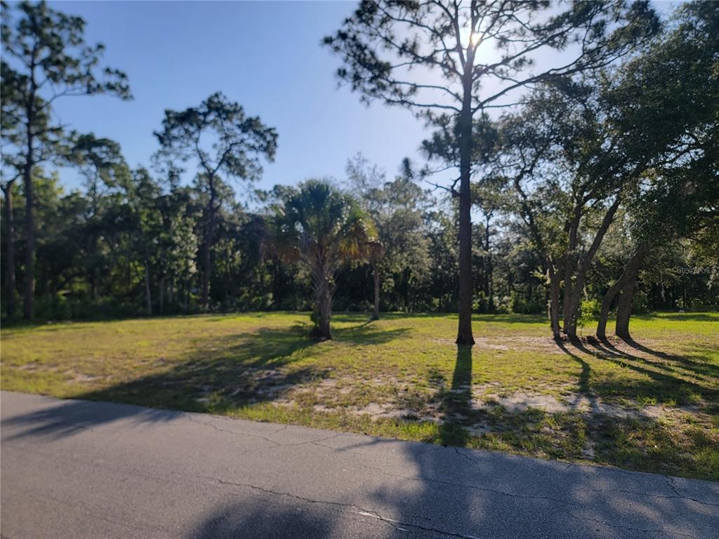 Property for sale at 2075 S COLONIAL AVENUE, HOMOSASSA, FL, 34448