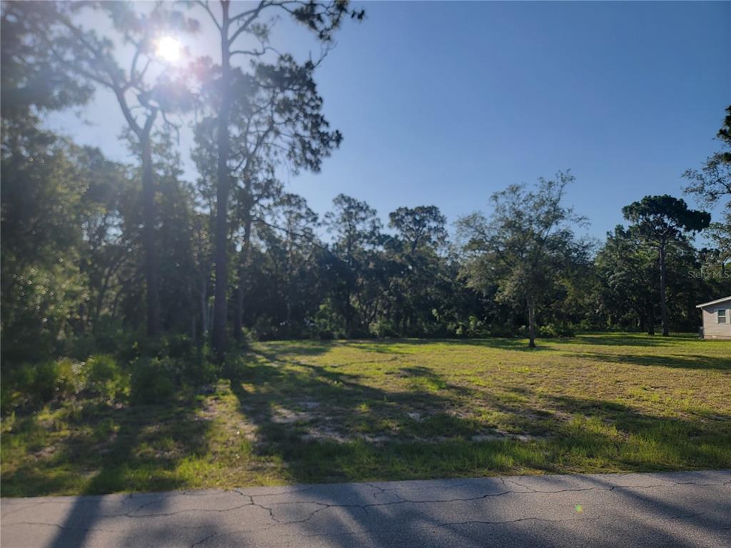 Property for sale at 2075 S COLONIAL AVENUE, HOMOSASSA, FL, 34448