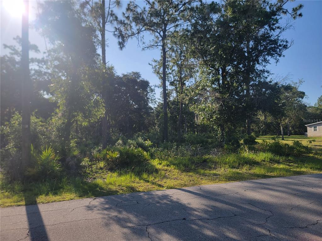 Property for sale at 2075 S COLONIAL AVENUE, HOMOSASSA, FL, 34448