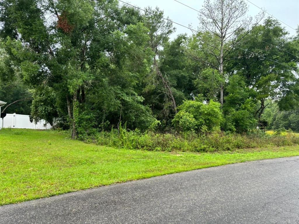 Property for sale at 1 GUAVA PASS TRAIL, OCKLAWAHA, FL, 32179