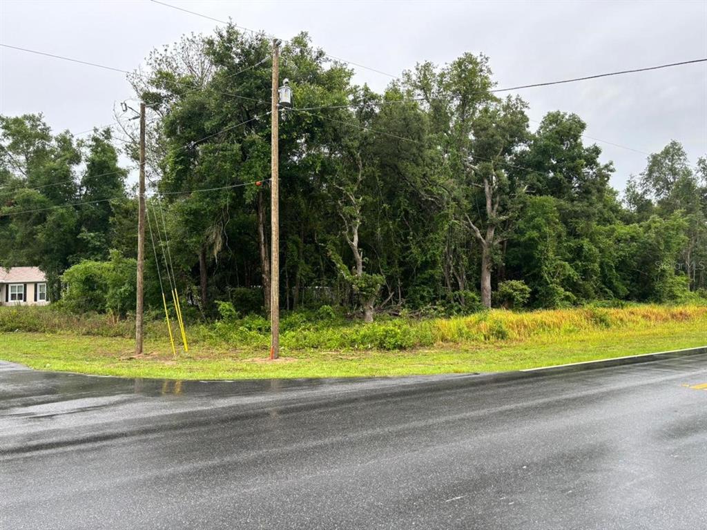 Property for sale at 1 GUAVA PASS TRAIL, OCKLAWAHA, FL, 32179