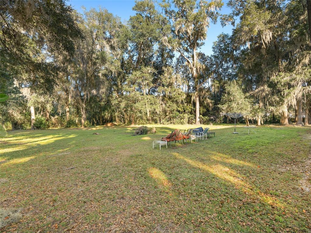 Grounds - Oaks