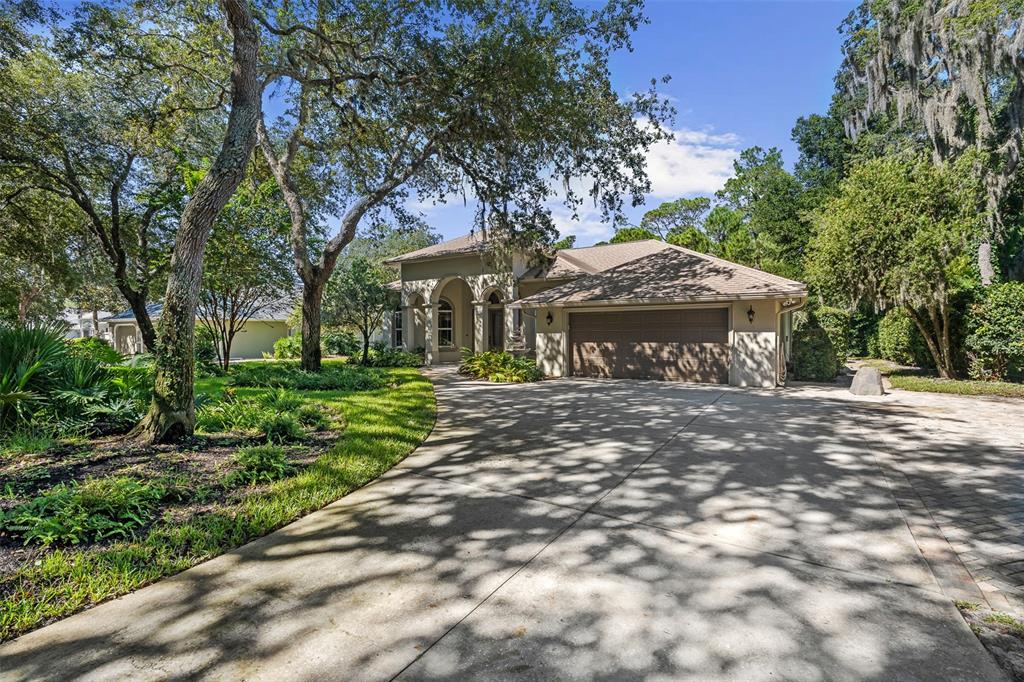Driveway View