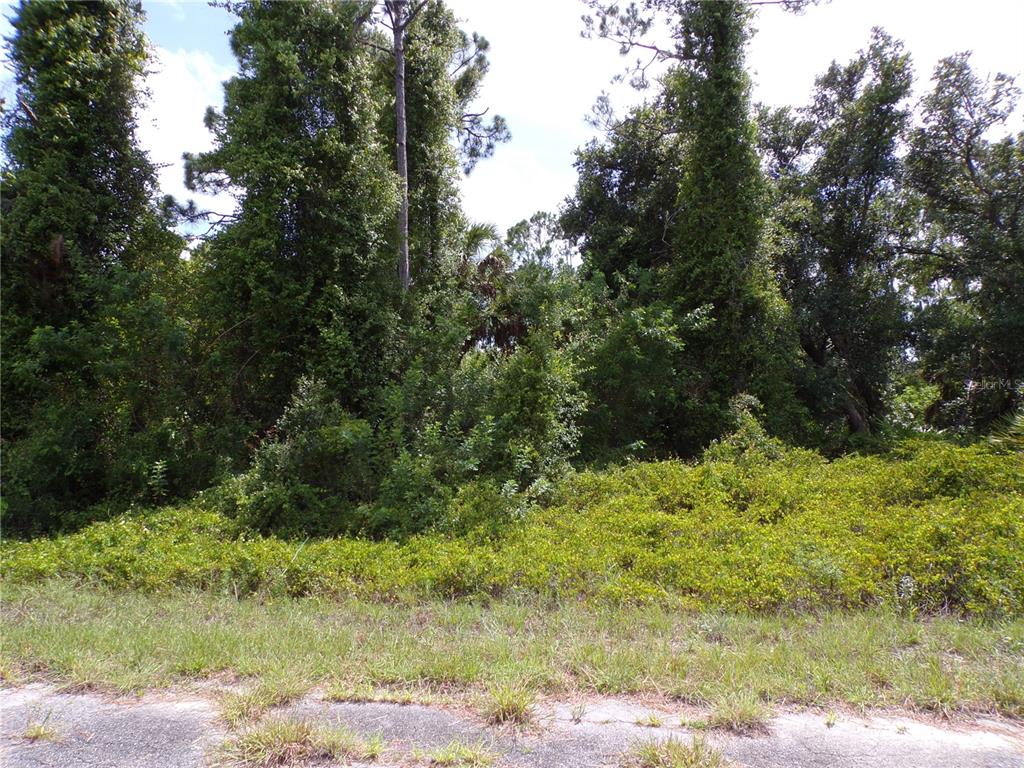 Property for sale at IRONSIDE STREET, NORTH PORT, FL, 34288