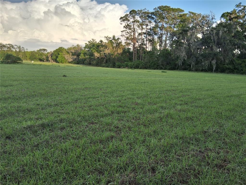 Property for sale at 1613 NE 12TH AVENUE, SUMTERVILLE, FL, 33585