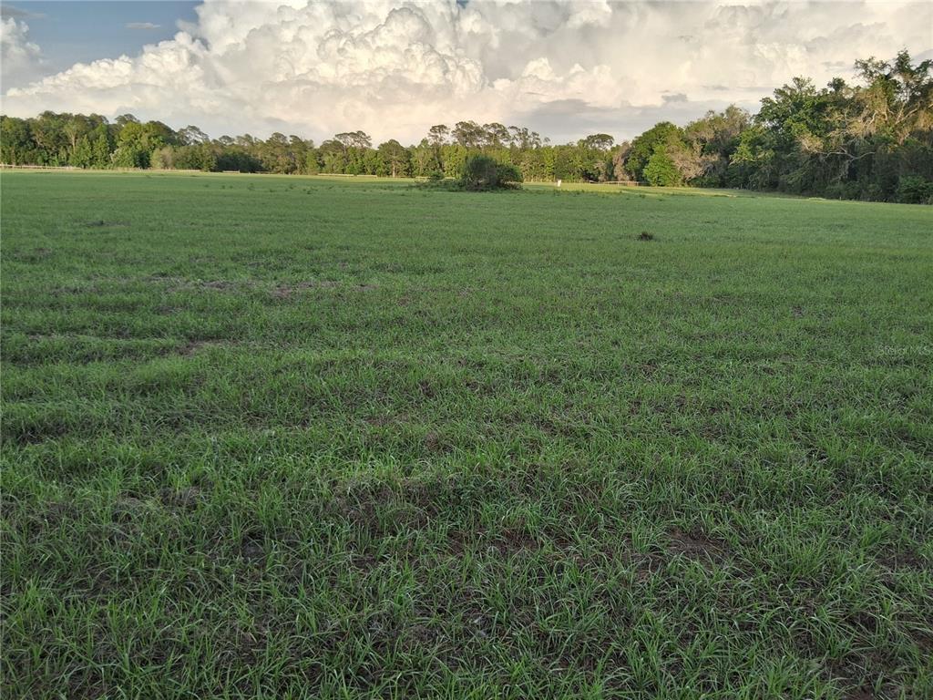 Property for sale at 1613 NE 12TH AVENUE, SUMTERVILLE, FL, 33585
