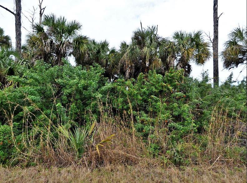 Property for sale at SILVERLEAF ROAD, NORTH PORT, FL, 34288