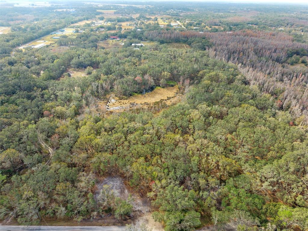 ariel view