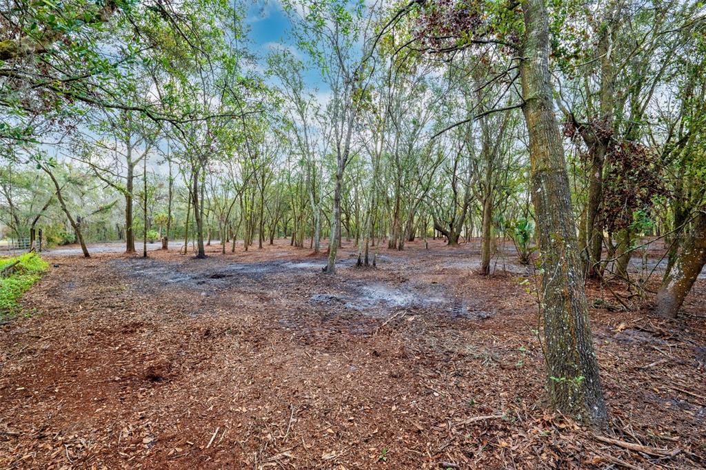 Front Left Corner looking into property
