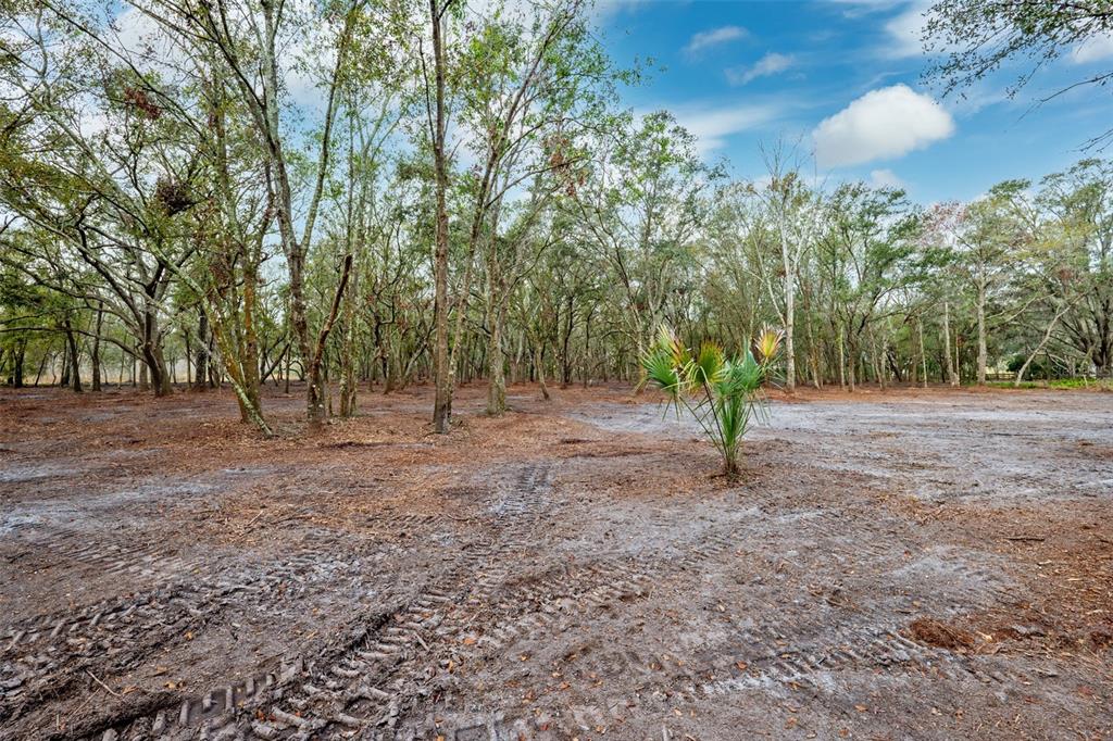 Back of property looking forward