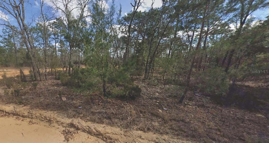 Property for sale at 133 LAKE LUCY COURT, INTERLACHEN, FL, 32148