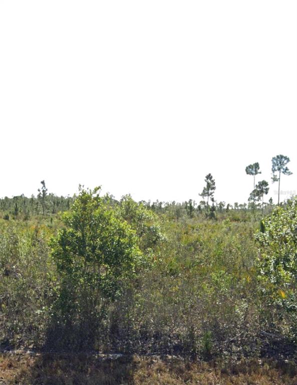 Property for sale at 903 CALLIANDRA DRIVE, INDIAN LAKE ESTATES, FL, 33855