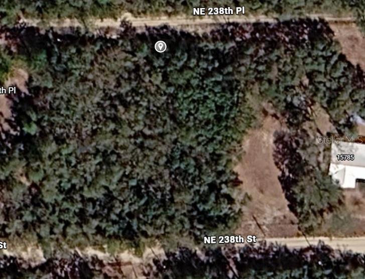Property for sale at NE 238TH PL, FORT MC COY, FL, 32134