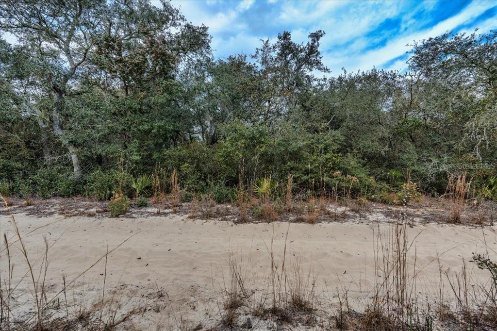 Property for sale at NE 233RD LANE, FORT MC COY, FL, 32134